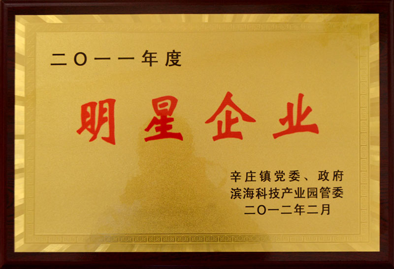 明星企業(yè)